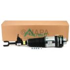 Suspension Strut Assembly