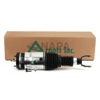 Suspension Strut Assembly