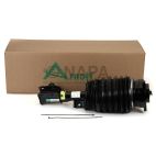 Suspension Strut Assembly