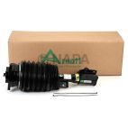 Suspension Strut Assembly