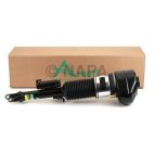 Suspension Strut Assembly