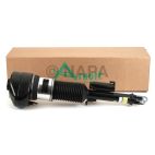 Suspension Strut Assembly