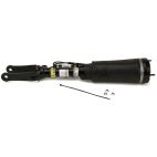 Suspension Strut Assembly