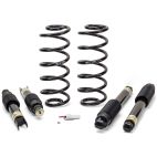Air Spring To Coil Spring Conversion Kit - Rear