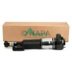 Suspension Strut Assembly