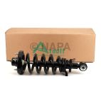 Suspension Strut Assembly