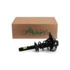 Suspension Strut Assembly