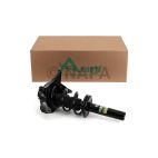 Suspension Strut Assembly