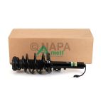 Suspension Strut and Coil Spring Assembly