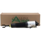 Suspension Strut Assembly