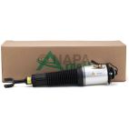 Suspension Strut Assembly