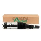 Suspension Strut Assembly