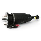 Suspension Strut Assembly