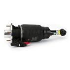Suspension Strut Assembly