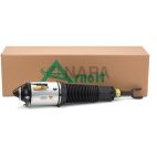 Suspension Strut Assembly