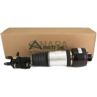 Suspension Strut Assembly