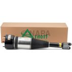 Suspension Strut Assembly