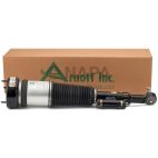 Suspension Strut Assembly