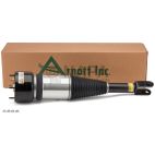 Suspension Strut Assembly