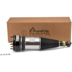 Suspension Strut Assembly