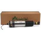 Suspension Strut Assembly