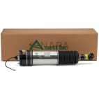Suspension Strut Assembly