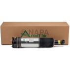 Suspension Strut Assembly