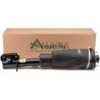 Suspension Strut Assembly