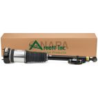 Suspension Strut Assembly