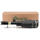 Suspension Strut Assembly