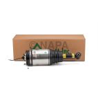 Suspension Strut Assembly