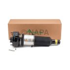 Suspension Strut Assembly