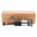 Suspension Strut Assembly