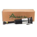 Suspension Strut Assembly