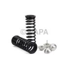 Air Spring to Coil Spring Conversion Kit