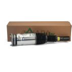 Suspension Strut Assembly