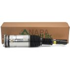 Suspension Strut Assembly