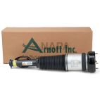 Suspension Strut Assembly