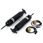 Air Shock Absorber