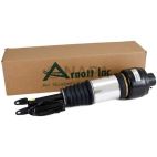 Suspension Strut Assembly