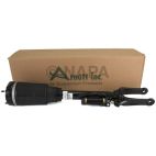 Suspension Strut Assembly