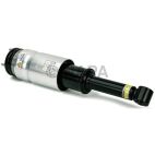 Suspension Strut Assembly