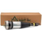 Suspension Strut Assembly