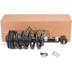 Suspension Strut Assembly