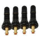 Tire Pressure Monitoring System (TPMS) Sensor Service Kit