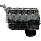 Engine Complete Assembly