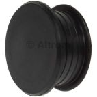 Engine Camshaft Plug