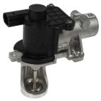 Exhaust Gas Recirculation (EGR) Valve