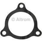 Fuel Injection Plenum Gasket