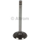 Engine Intake Valve
